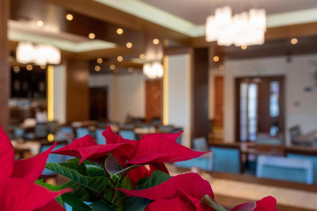 Hotel Buchenland Gura Humorului Exteriör bild